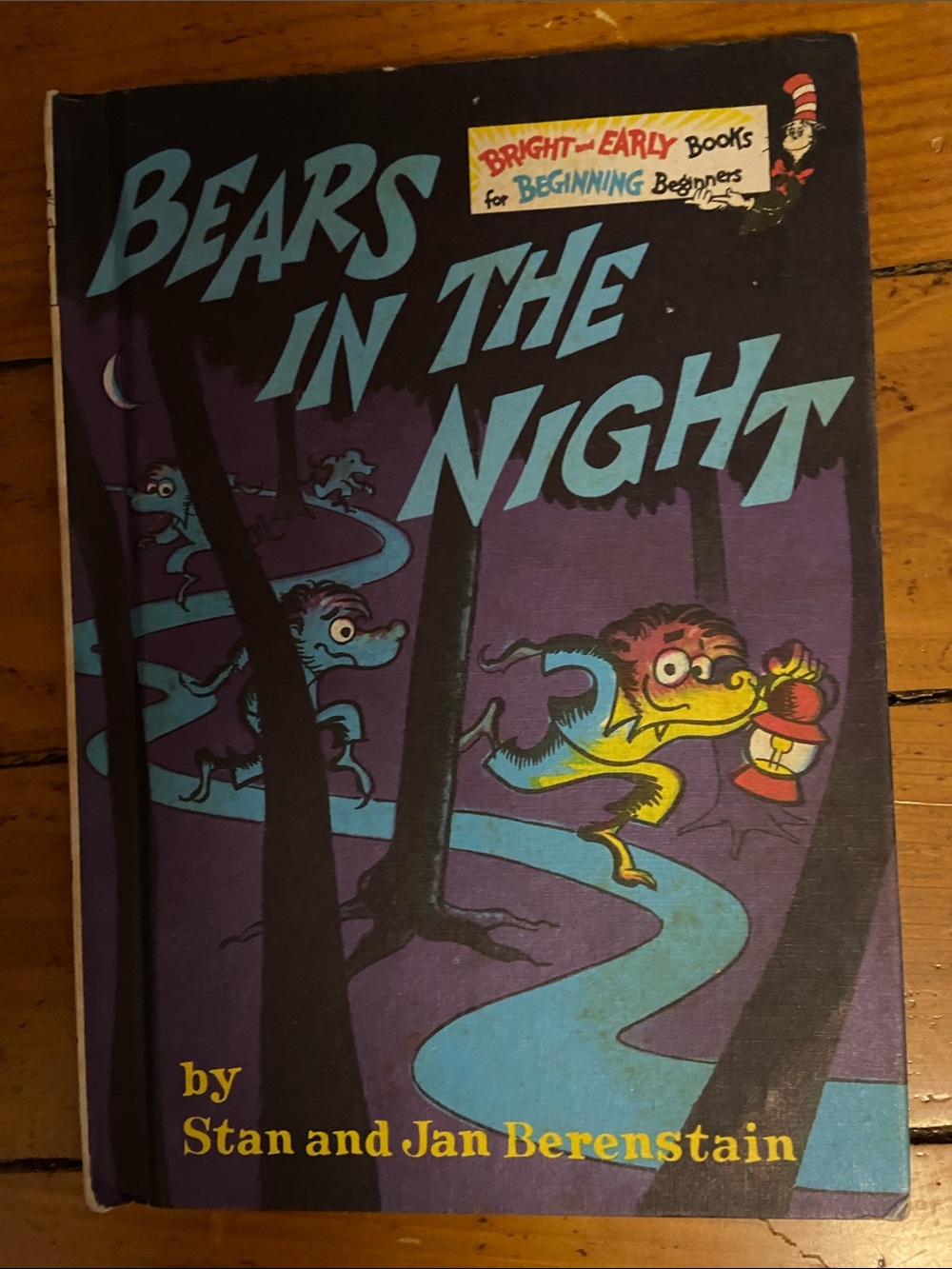 Vintage 70s 1970s CLASSIC Berenstain Bears in the Night Children's book illus hc